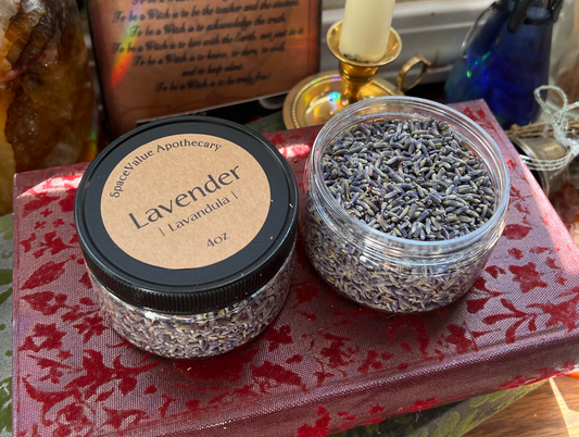 Lavender ~ Herb