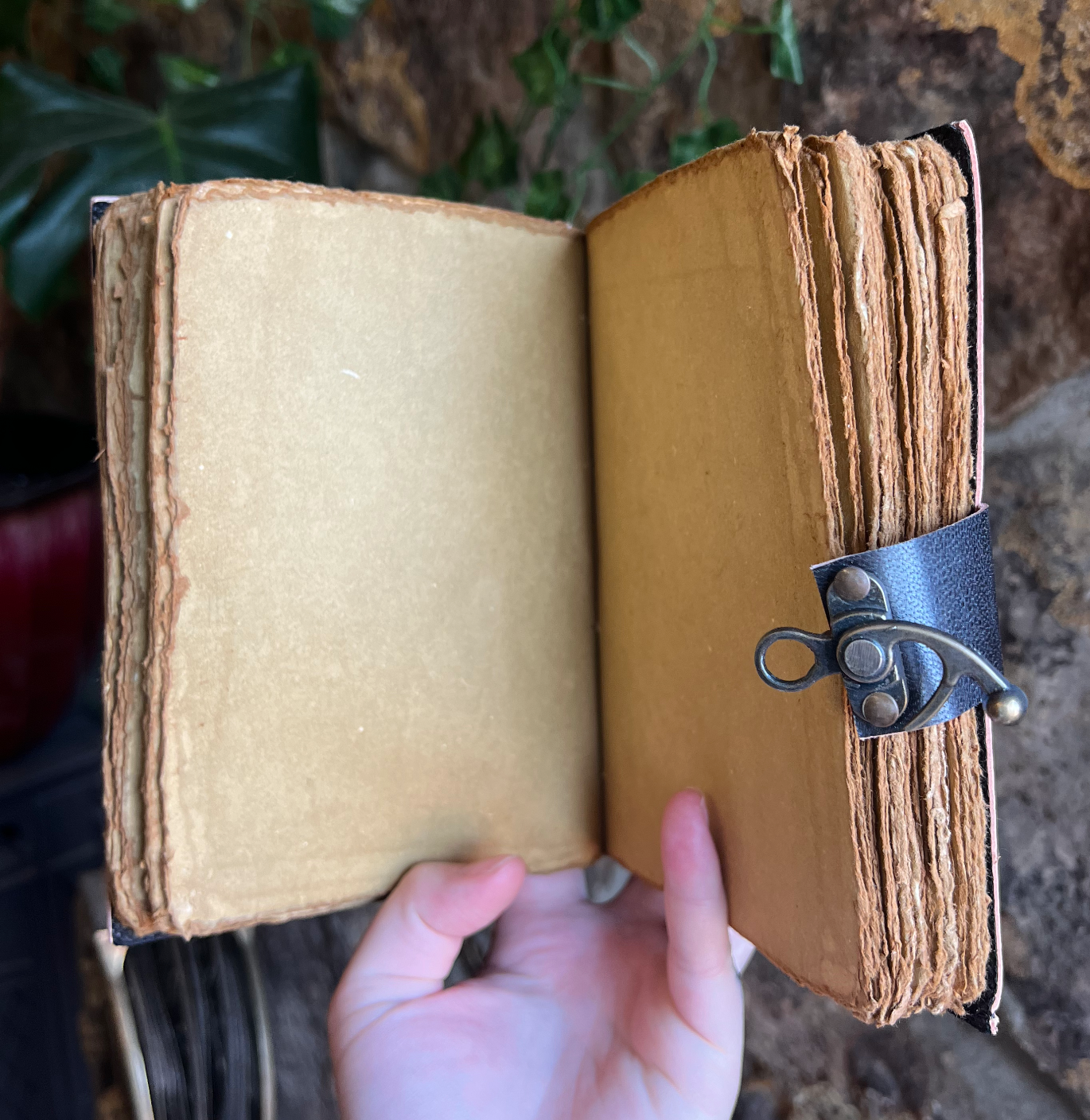 The Hermit Notebook